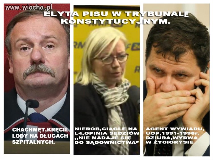 Wybitni prawnicy 