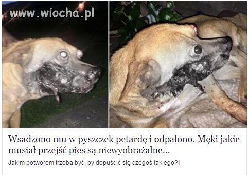 Jestem za tym żeby zwyrodnialcowi