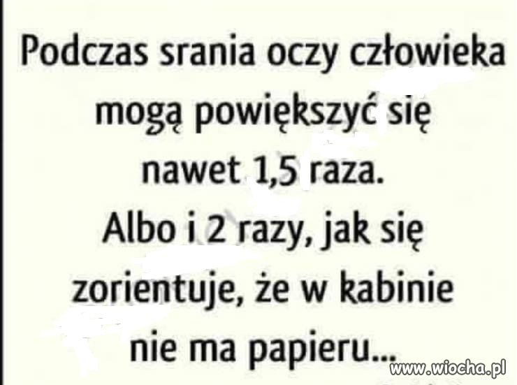 Rzeczywistość 