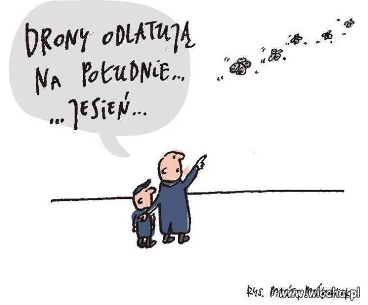 I cały misterny plan poszedł...