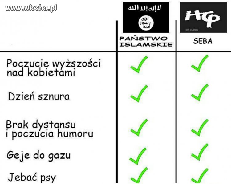 Islamiści vs. rycerze ortalionu