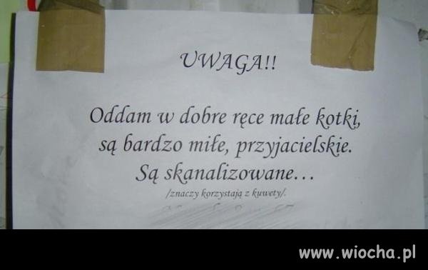 W której rurze?