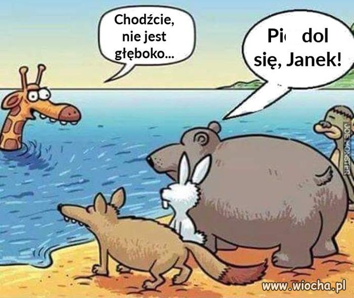Cwana żyrafa