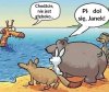 Cwana żyrafa