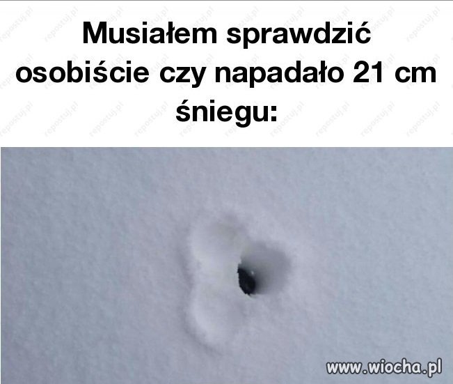 Coś innego niż Sejm, KOD i inni prezesi