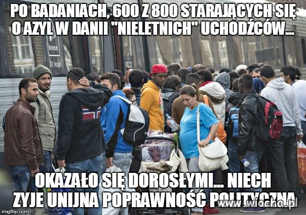 Ach ci postępowi skandynawowie