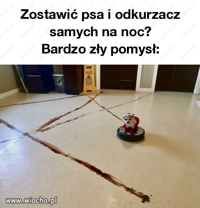 Technologia XXI wieku