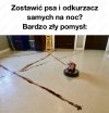Technologia XXI wieku
