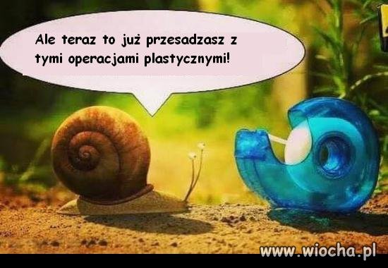 Chyba przesadziła