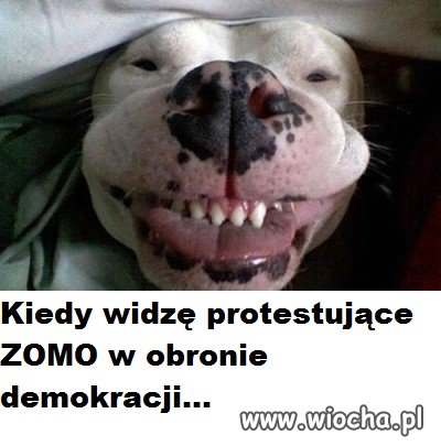Normalnie chichot historii 