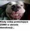 Normalnie chichot historii 