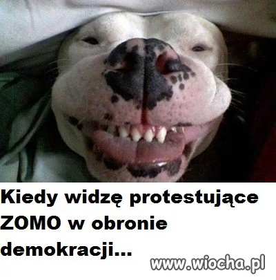 Normalnie chichot historii 
