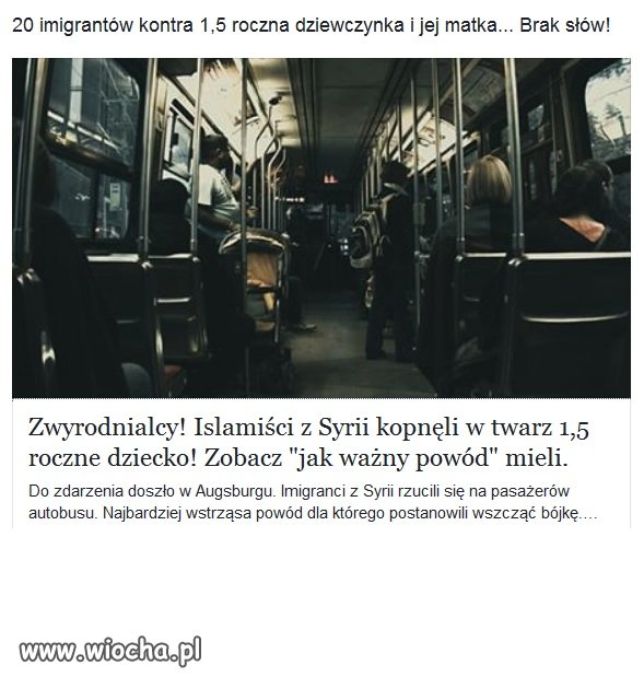 Islamskie bydło w autobusie dzicz!