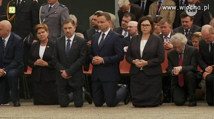 Pasterze śpiewają, bydlęta klękają, 