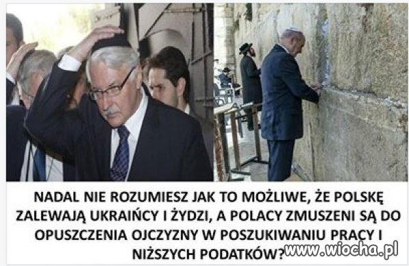 Wszyscy 