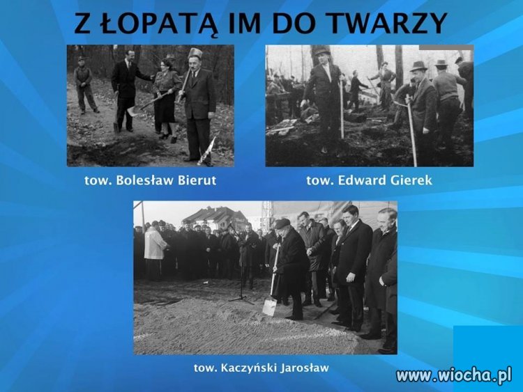 Towarzysze ...