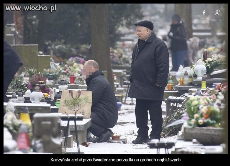 Sami sobie wyciągnijcie wnioski