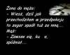 Humor niedzielny 