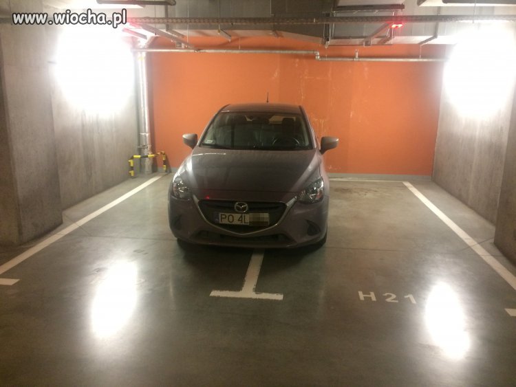 Szlachta w Poznaniu. Tak parkuje 