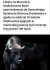 Sami sobie strzelcie