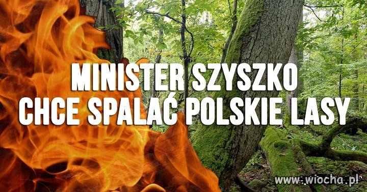 Współspalanie drewna produkcyjnego