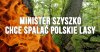 Współspalanie drewna produkcyjnego