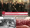 Towarzysze w akcji