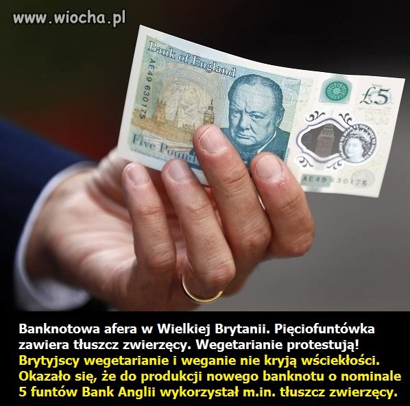Nie wiem jak to skomentować 
