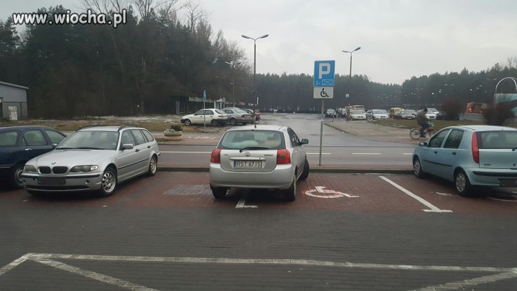 Inwalida umysłowy - Stalowa Wola