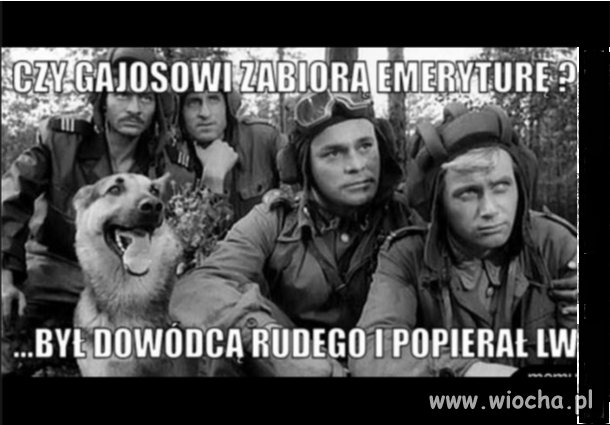 ...i psu budę...
