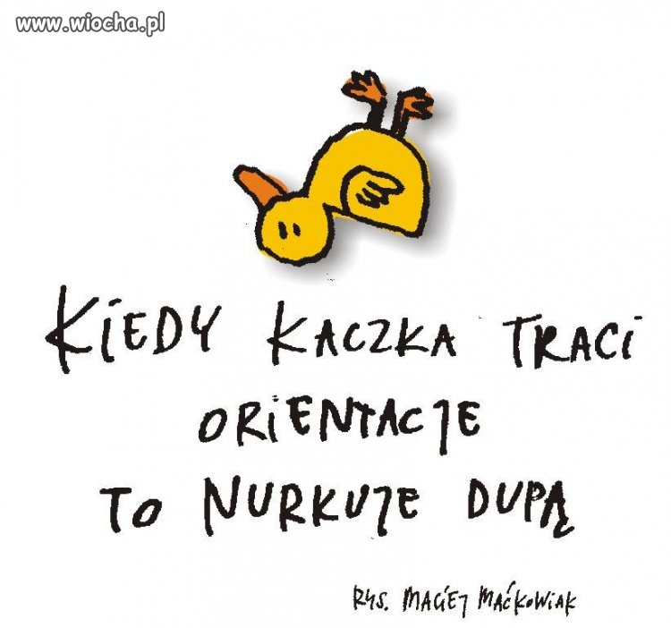 Cytat z filmu ,,Uprowadzenie Agaty''