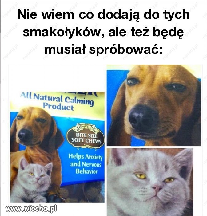 Smakołyki 