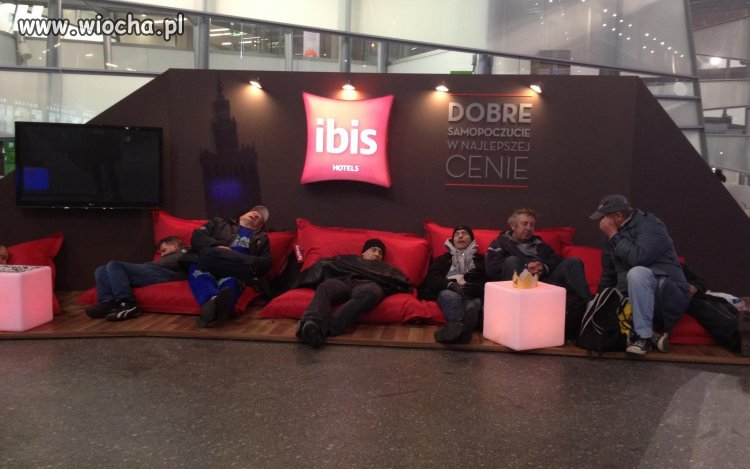 Ibis dla wszystkich 