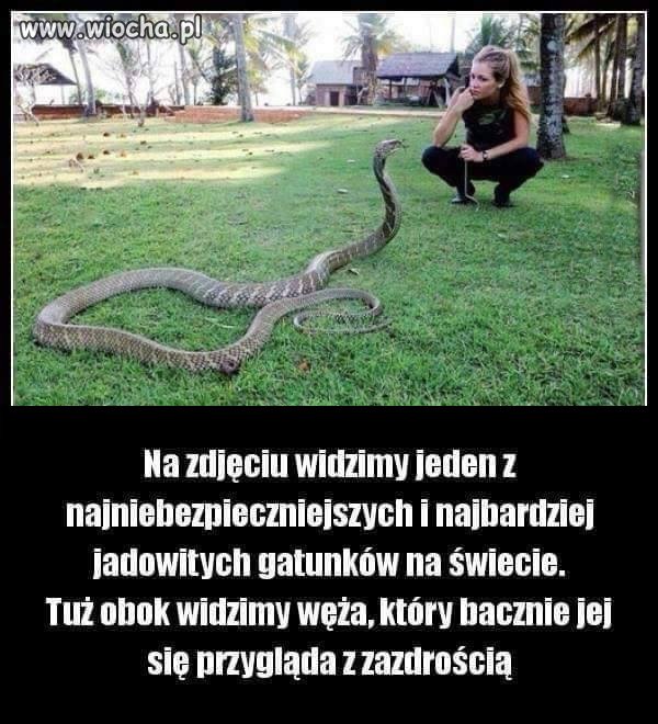 Coś w tym jest.