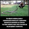 Coś w tym jest.