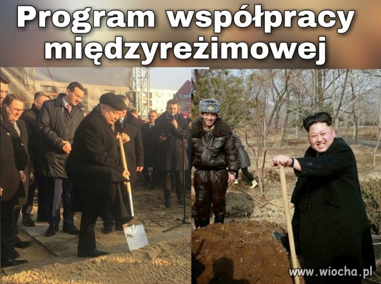 Chyba, że budują...