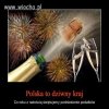Opis poniżej ...