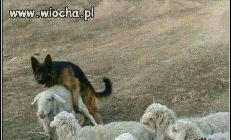 To jest właśnie przekroczenie uprawnień służbowych