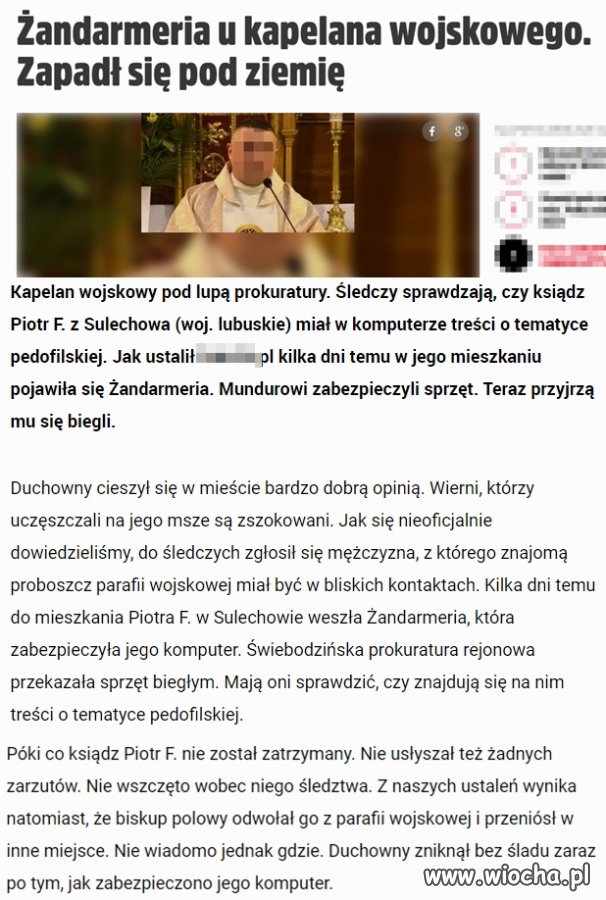 Koty w wojsku to nowi żołnierze
