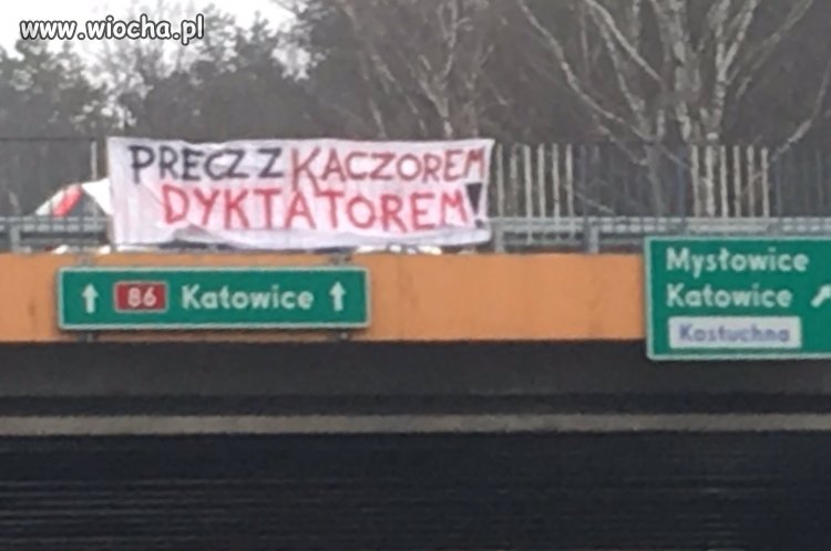 Suweren wita naczelnika 