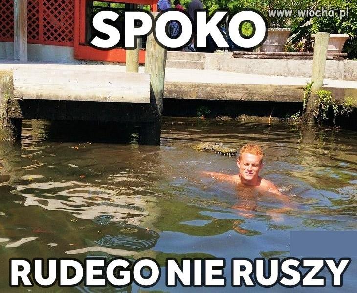 Rudy bezpieczny.