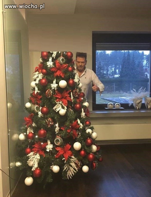 A tak wygląda choinka u Rutkowskiego