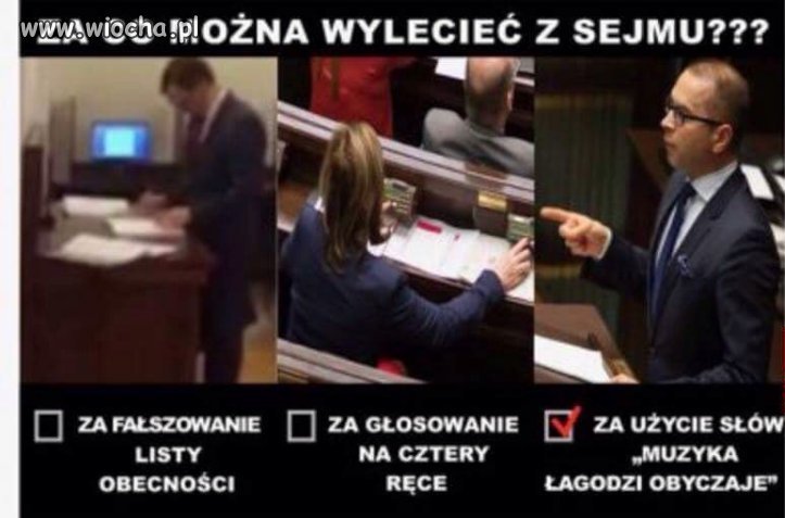 Kary sejmowe 