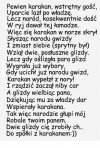 Wierszyk znaleziony w sieci