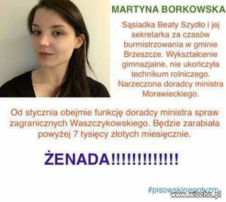 Nie trzeba być Misiewiczem 