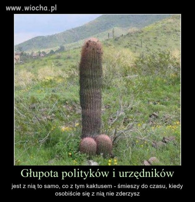 Tak to wygląda w praktyce...