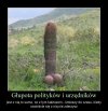 Tak to wygląda w praktyce...