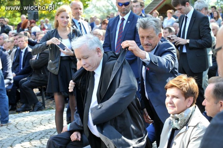 Nowe szaty króla 