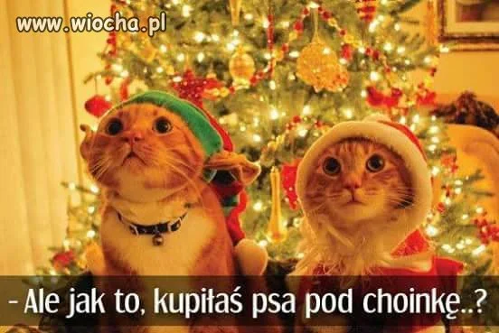 Święta