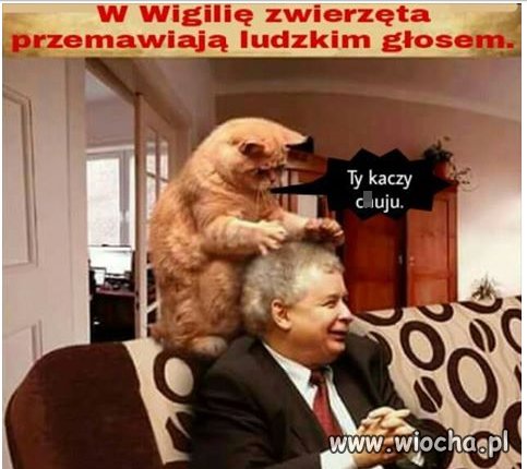 Chyba dzieci jeszcze wierzą w to